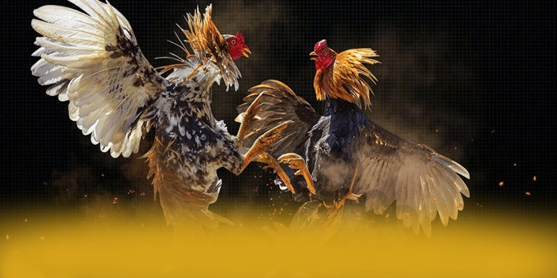 Điểm khác biệt của GOOD88 trong cùng phân khúc