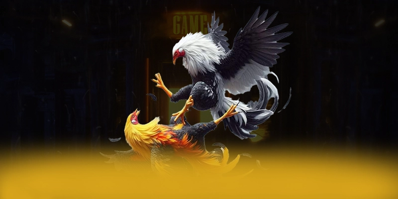 FB88 - Sảnh game quy tụ nhiều siêu phẩm hot 2026